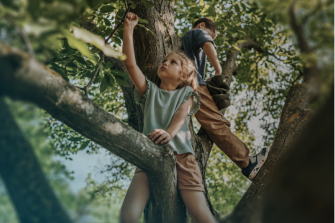 Kinder beim Klettern in einem Baum