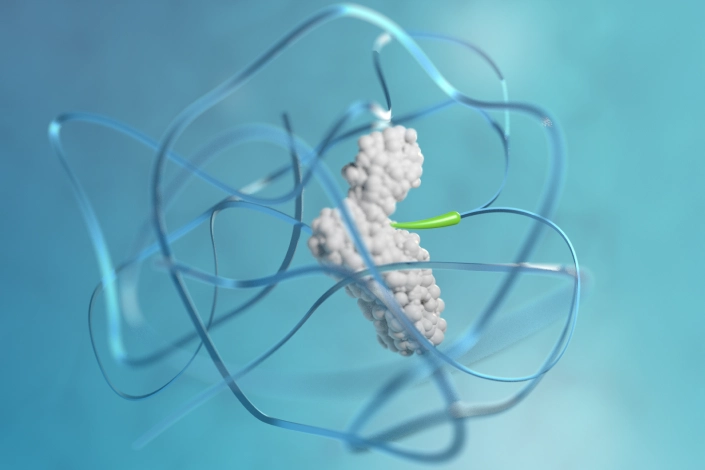 Schematische Darstellung eines Prodrugs mit TransCon®-Träger, -Linker und Wirkstoff