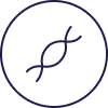 Icon DNA